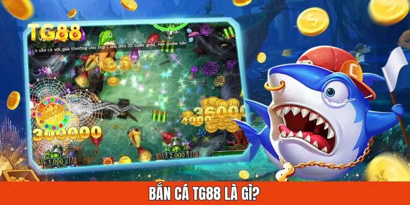 Bắn cá là gì?
