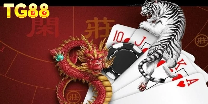 Cách áp dụng chiến thuật Rồng Hổ bất bại hiệu quả