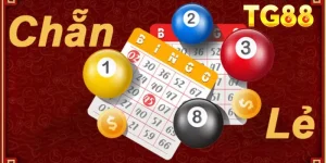 Ảnh đại diện dàn lô đề chẵn lẻ