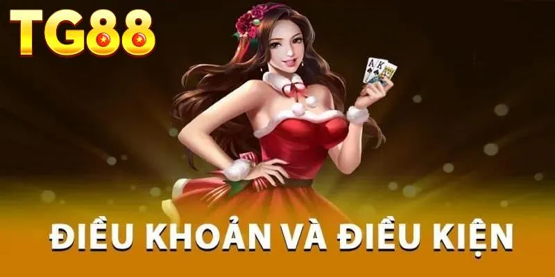 Quy định chung về chương trình khuyến mãi tại web