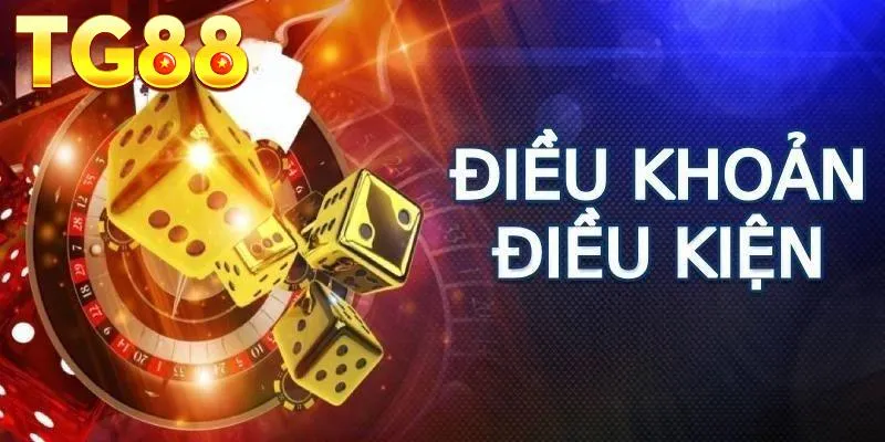 Giới thiệu chung một số thông tin về điều khoản và điều kiện