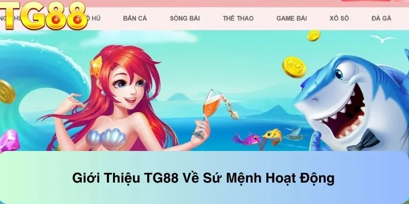 Giới thiệu về sứ mệnh hoạt động của trang web