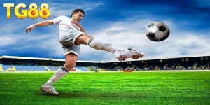 Ảnh đại diện kèo tỷ số