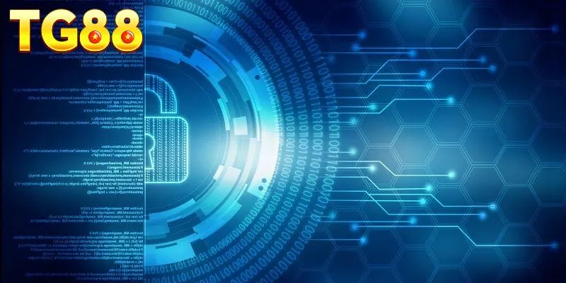 Nhà cái cam kết không chia sẻ thông tin người dùng cho bên thứ 3