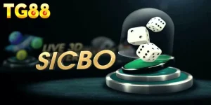 Ảnh đại diện sicbo