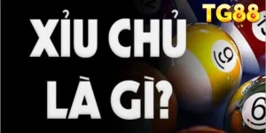 Ảnh đại diện xỉu chủ
